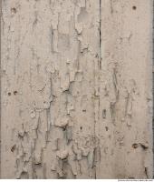 Walls Plaster 0064